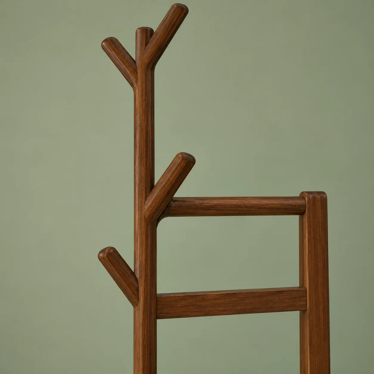 Détail des branches en Y et de la barre du porte-manteau en bois foncé sur fond vert sauge