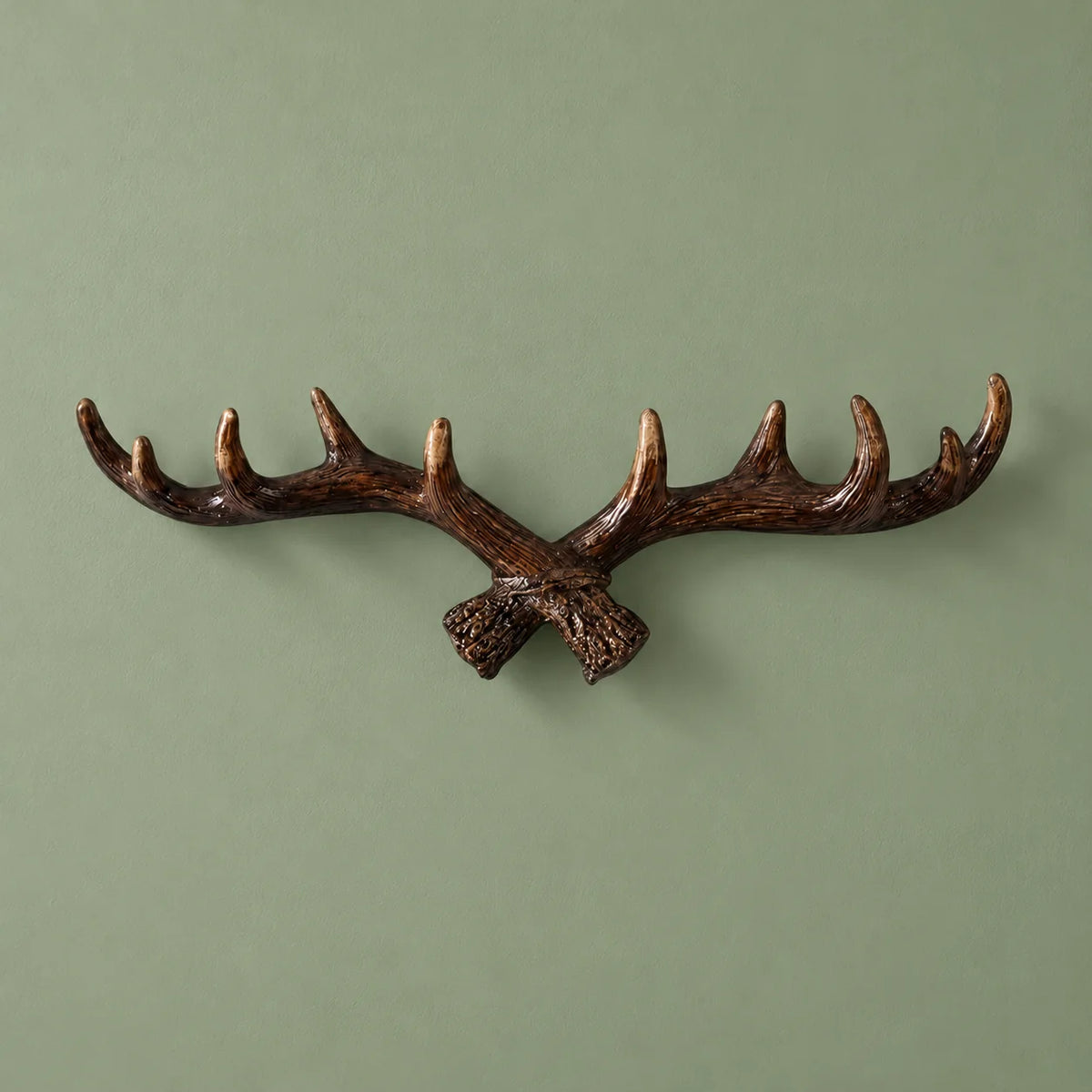 Porte-manteau mural bois de cerf brun foncé de face sur mur vert sauge