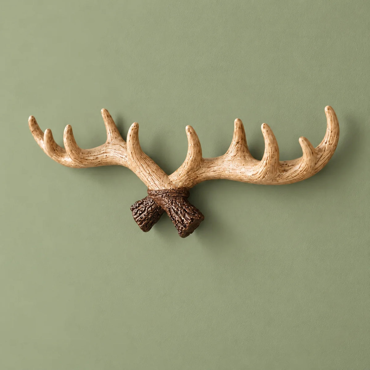 Patère murale bois de cerf beige clair de trois quarts sur mur vert sauge