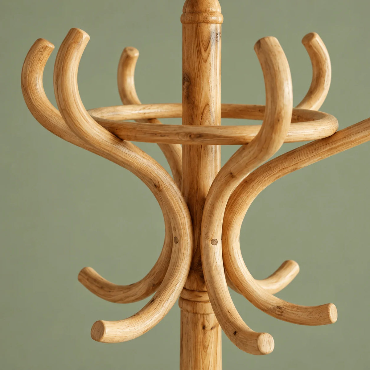 Détail des crochets et du veinage du porte-manteau perroquet bois clair sur fond vert sauge