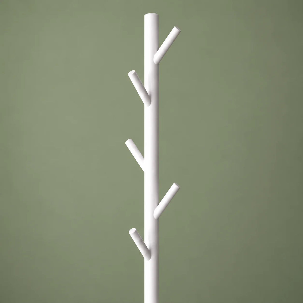 Gros plan des patères blanches du porte-manteau arbre sur fond vert sauge