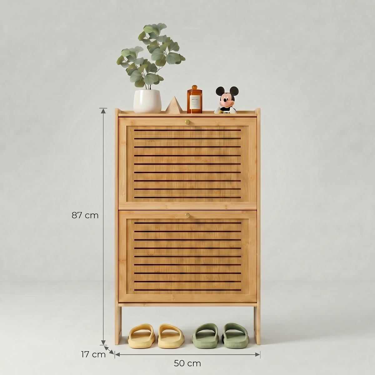 Meuble Chaussure Design Compact